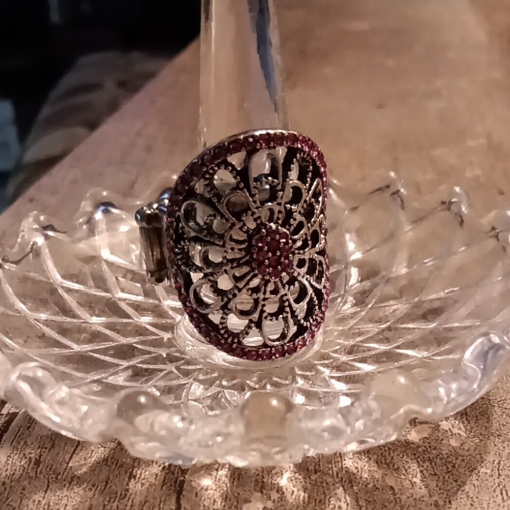 Paparazzi Silver and Red Statement Ring